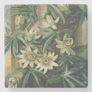 Blue Passion Flower for the 'Temple of Flora' door Stenen Onderzetter