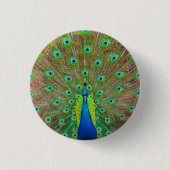 Blue Peacock #3 Button (Voorkant)