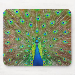 Blue Peacock #3 Muismat