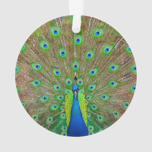 Blue Peacock #3 Ornament (achterkant)
