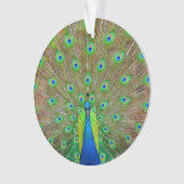 Blue Peacock #3 Ornament (voorkant)