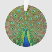 Blue Peacock #3 Ornament (voorkant)