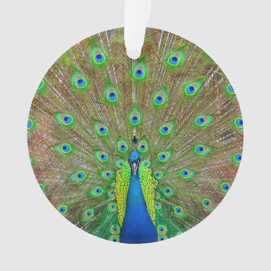 Blue Peacock #3 Ornament (voorkant)