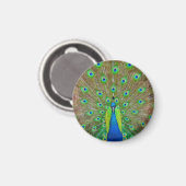 Blue Peacock #3 Round Magnet (Voorkant / Achterkant)