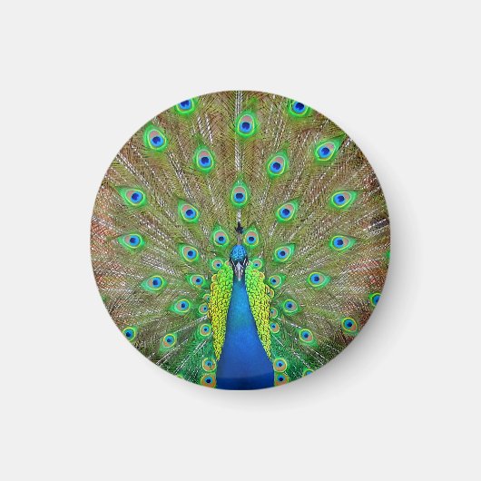 Blue Peacock #3 Round Magnet (Voorkant)