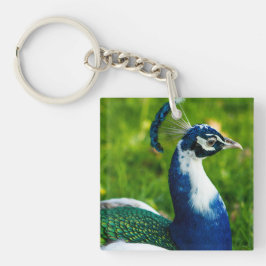 Blue Peacock Bird AcrylSleutelhanger Sleutelhanger
