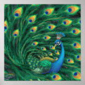 Blue Peacock Bird Poster (Voorkant)