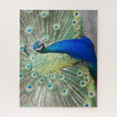 Blue Peacock Fantail Feathers Foto Legpuzzel (Verticaal)