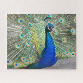 Blue Peacock Fantail Feathers Foto Legpuzzel (Horizontaal)