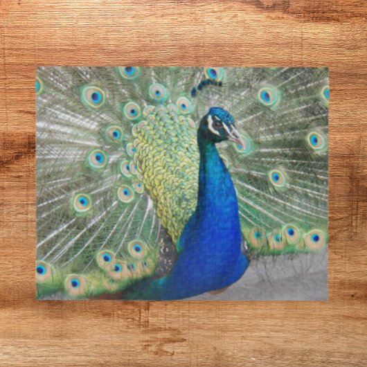 Blue Peacock Fantail Feathers Foto Legpuzzel