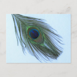 Blue Peacock Feather Briefkaart