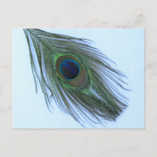 Blue Peacock Feather Briefkaart (Voorkant)