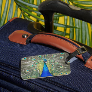 Blue Peacock Feather Plumage Bagagelabel