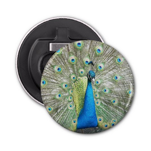Blue Peacock Feather Plumage Button Flesopener (Voorkant)