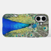 Blue Peacock Feather Plumage Case-Mate iPhone Case (Achterkant (horizontaal))