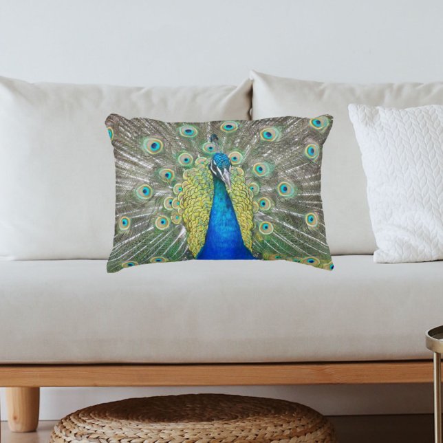 Blue Peacock Feather Plumage Foto Accent Kussen (In Situ Sofa)