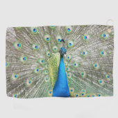 Blue Peacock Feather Plumage Foto Golfhanddoek (Horizontaal)