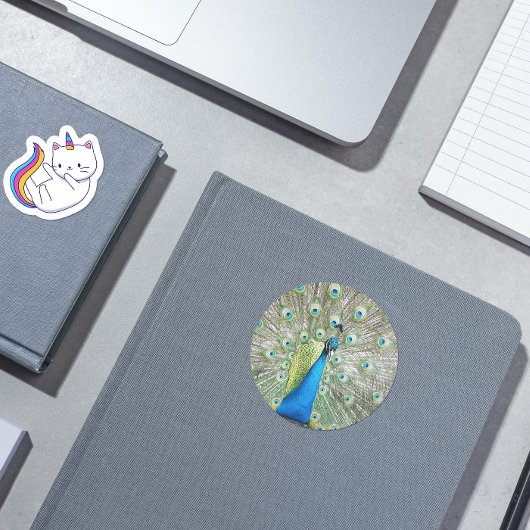 Blue Peacock Feather Plumage Foto Hart Sticker