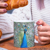 Blue Peacock Feather Plumage Foto Mok