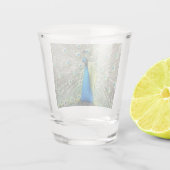 Blue Peacock Feather Plumage Foto Shot Glas (Achterkant)