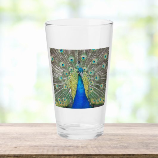 Blue Peacock Feather Plumage Glas
