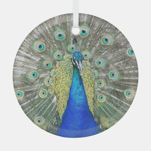 Blue Peacock Feather Plumage Glas Ornament (Voorkant)