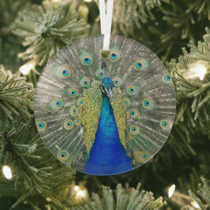 Blue Peacock Feather Plumage Glas Ornament