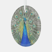 Blue Peacock Feather Plumage Glas Ornament (Voorkant links)