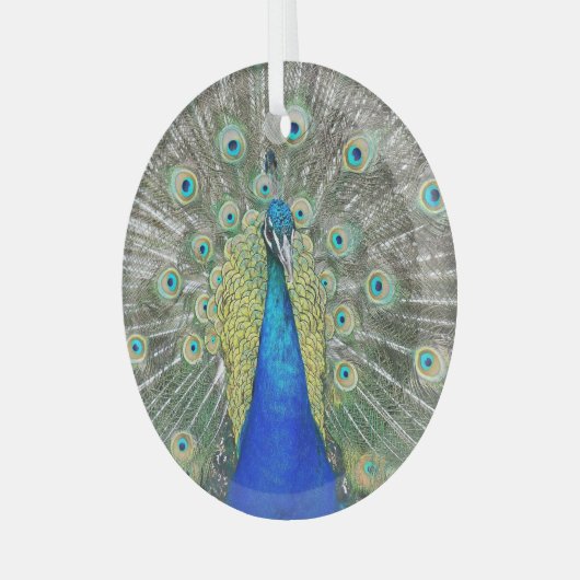 Blue Peacock Feather Plumage Glas Ornament (Voorkant links)