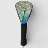 Blue Peacock Feather Plumage Golfheadcover (Voorkant)