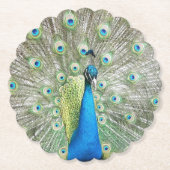 Blue Peacock Feather Plumage Kartonnen Onderzetters (Voorkant)