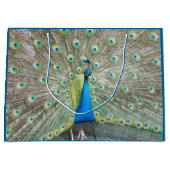 Blue Peacock Feather Plumage Large Cadeautasje (Voorkant)
