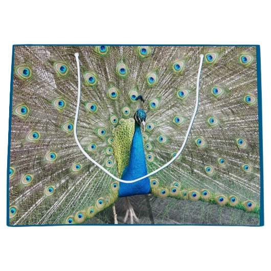 Blue Peacock Feather Plumage Large Cadeautasje (Voorkant)