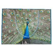 Blue Peacock Feather Plumage Large Cadeautasje (Achterkant)