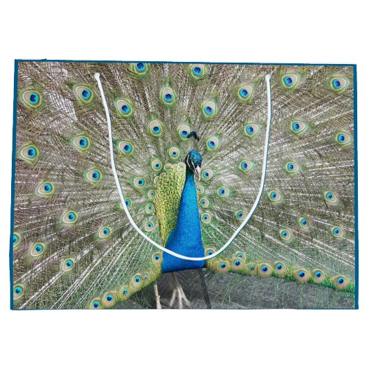 Blue Peacock Feather Plumage Large Cadeautasje (Achterkant)