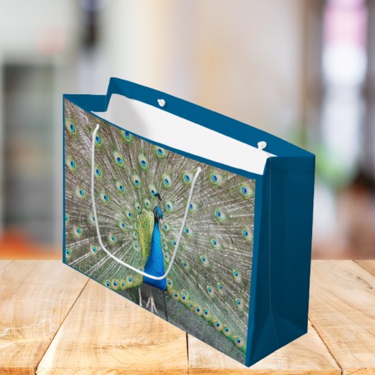 Blue Peacock Feather Plumage Large Cadeautasje