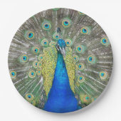 Blue Peacock Feather Plumage Papieren Bordje (Voorkant)