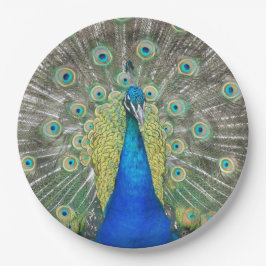 Blue Peacock Feather Plumage Papieren Bordje