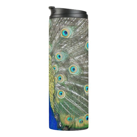 Blue Peacock Feather Plumage Thermosbeker (Geroteerd rechts)