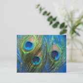Blue Peacock Feathers Briefkaart (Staand voorkant)