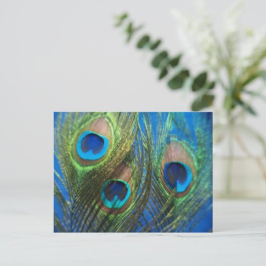 Blue Peacock Feathers Briefkaart (Staand voorkant)