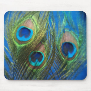 Blue Peacock Feathers Mousepad Muismat