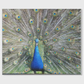 Blue Peacock Full Plumage Cadeaupapier (Vlak)