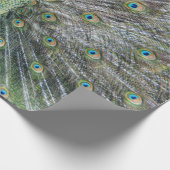 Blue Peacock Full Plumage Cadeaupapier (Hoek)