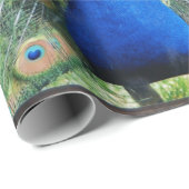 Blue Peacock Full Plumage Cadeaupapier (Rol Hoek)