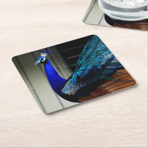 Blue Peacock Kartonnen Onderzetters