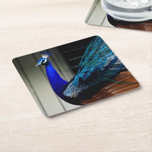 Blue Peacock Kartonnen Onderzetters (Schuin)