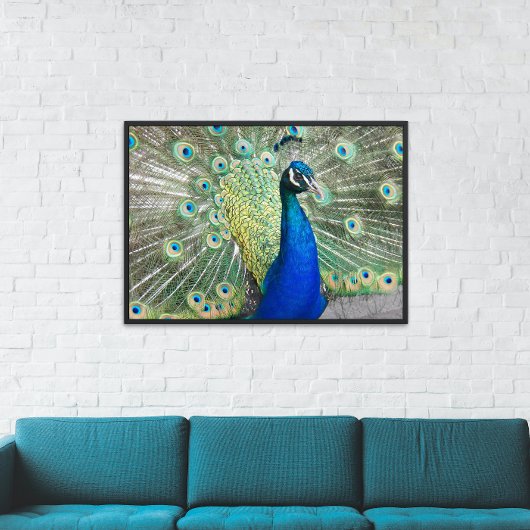 Blue Peacock met Colorful Plumage Photo Glossy Perfect Poster