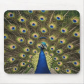 Blue Peacock Muismat (Voorkant)