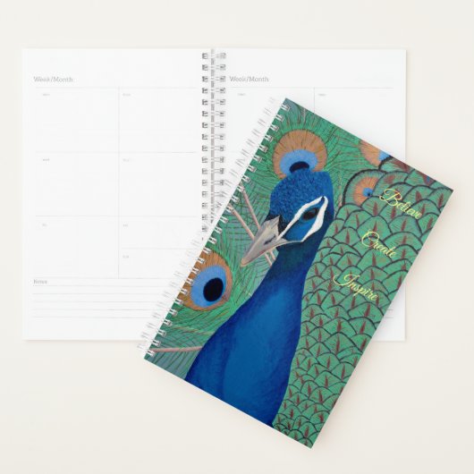 Blue Peacock Planner (Display)